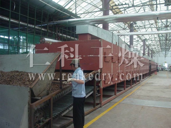 DWC Dehydrated Vegetables Belt Dryer